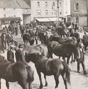 Horse market in Ballinasloe, Co. Galway